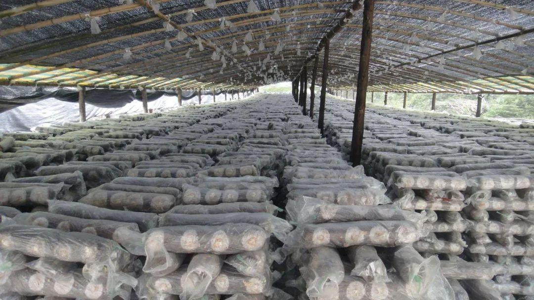 22c72d7a6c134d4d972454c91c567940_noop.jpg 22c72d7a6c134d4d972454c91c567940_noop.jpg