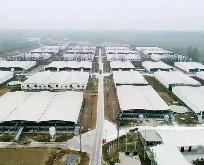 畜牧養(yǎng)殖業(yè)